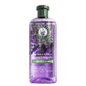 Champú Control Frizz Lavanda Champú Control Frizz Lavanda